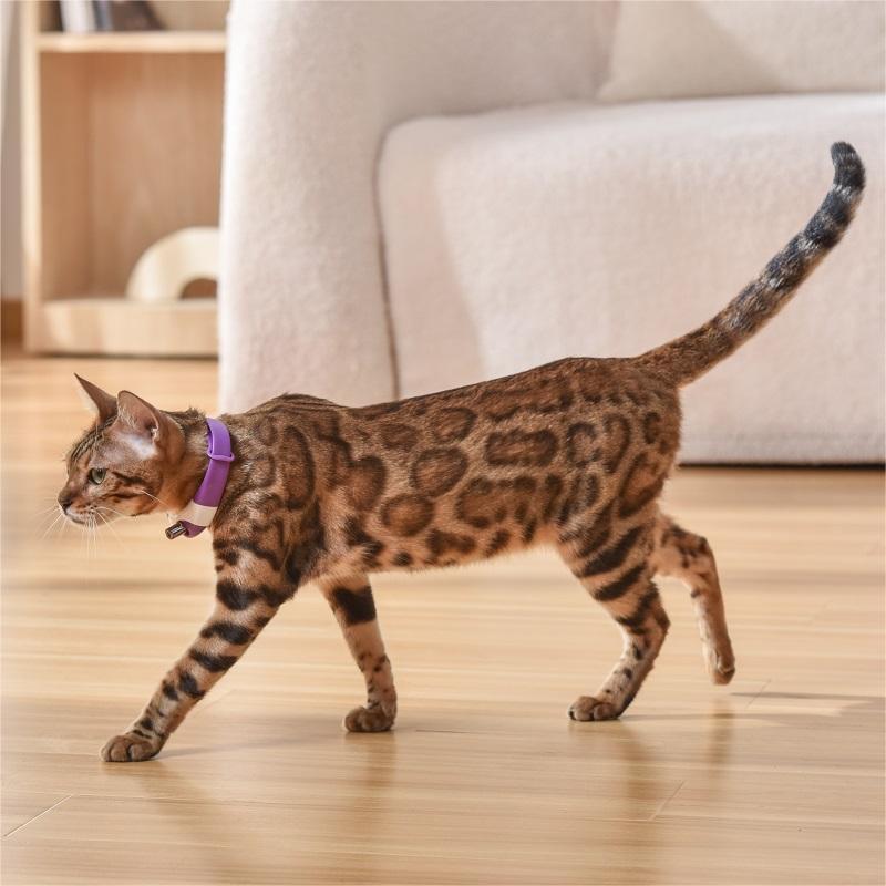 Pet Cat Laser Collar