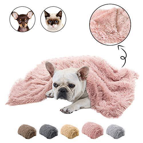 Plush Pet Double Blanket