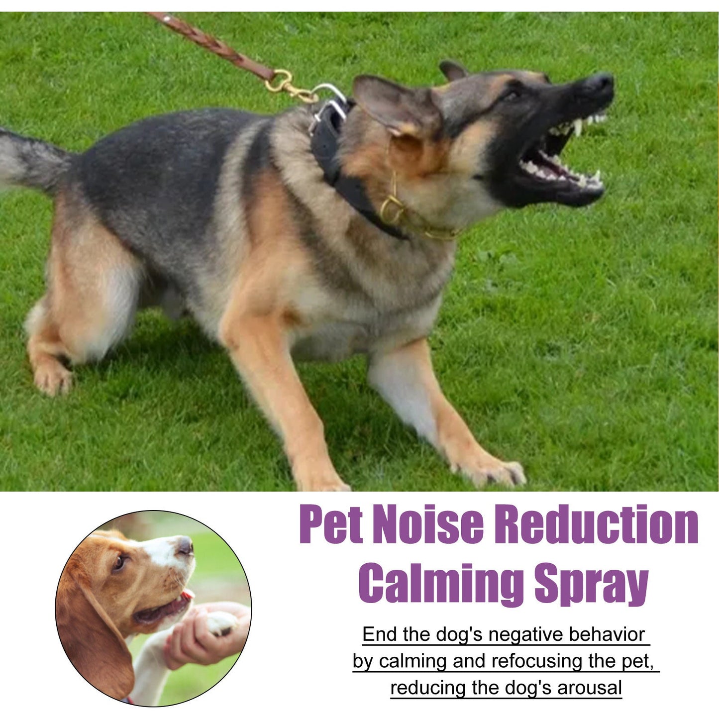 Pet Noise Reduction Calm Mood Spray