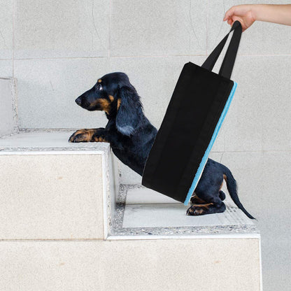 Pet Auxiliary Belt