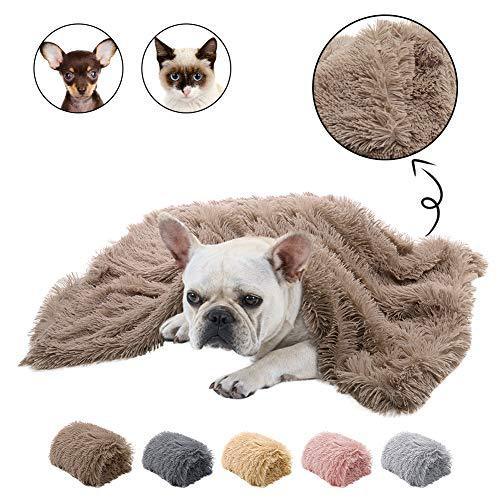 Plush Pet Double Blanket