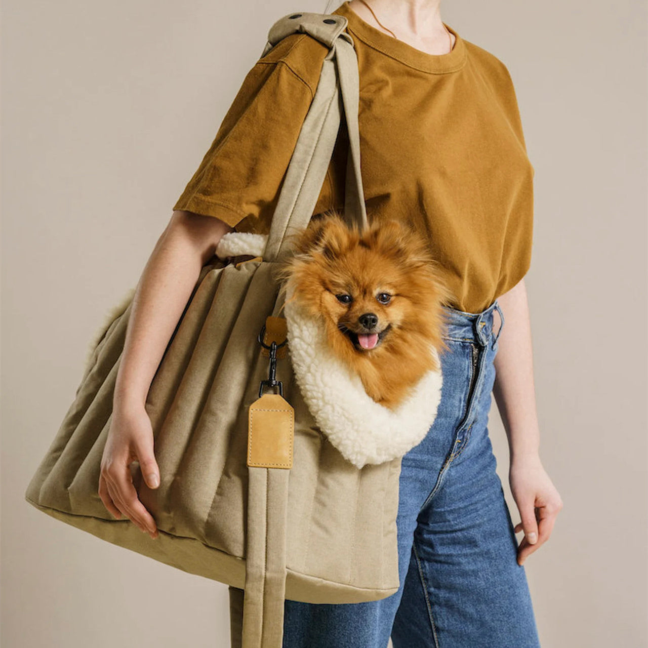 Portable Pet Handbag