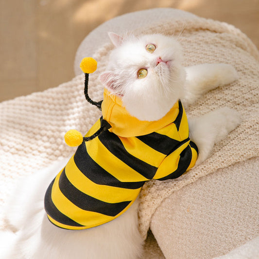 Honeybees Turned Pet Clothes