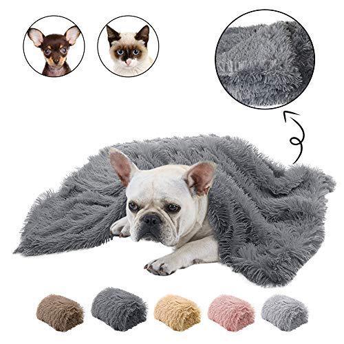 Plush Pet Double Blanket