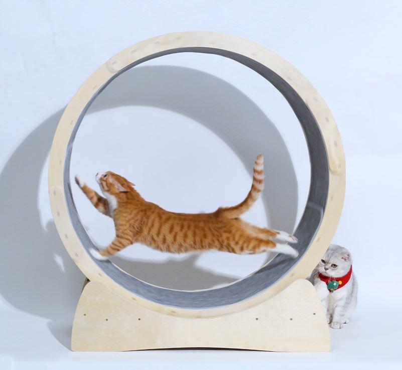 Cat Treadmill Roller Toys