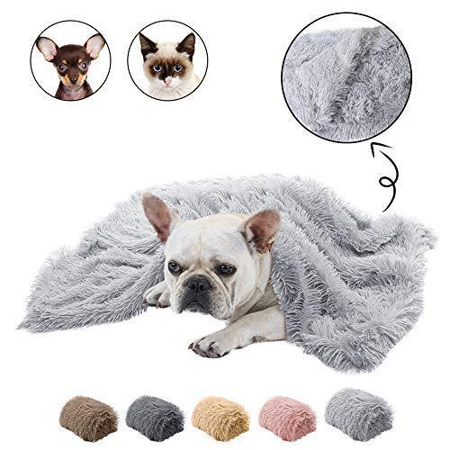 Plush Pet Double Blanket