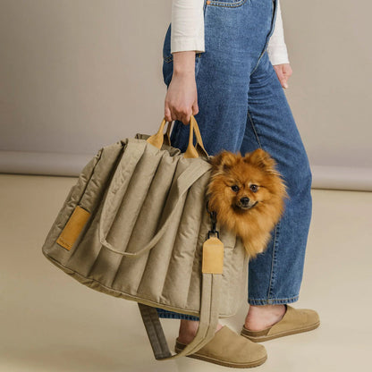 Portable Pet Handbag