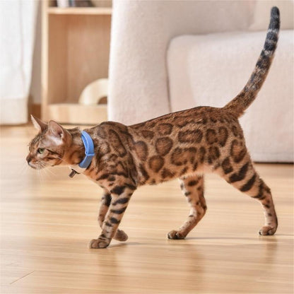 Pet Cat Laser Collar