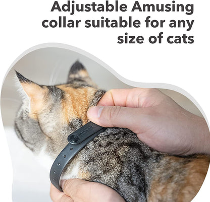 Pet Cat Laser Collar